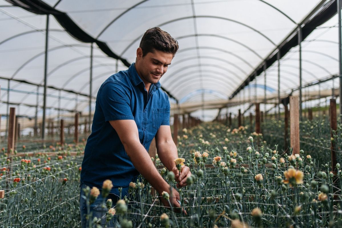 Silvio Gomes, produtor cooperado Cooperflora
