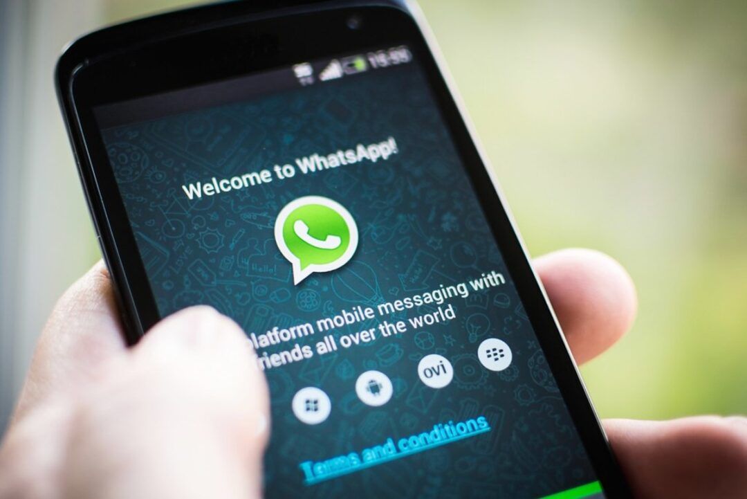 Novas regras do WhatsApp levam empresas a bloqueios sucessivos nos canais