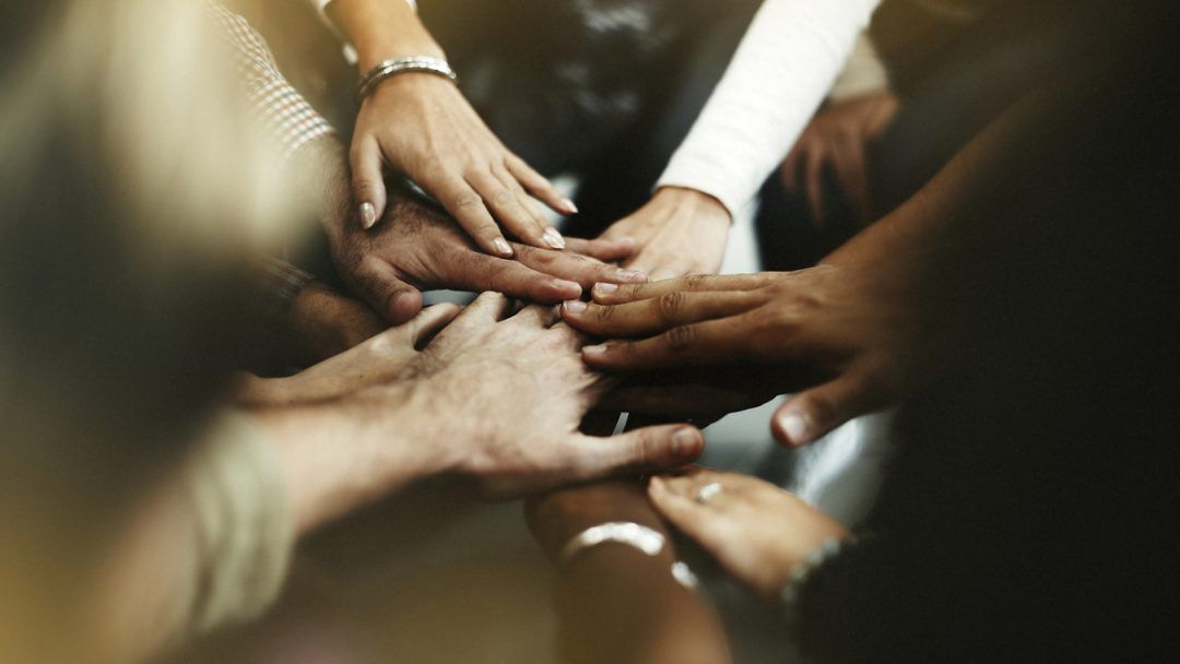 Diversidade Sim! é lançado pela Universidade Zumbi dos Palmares