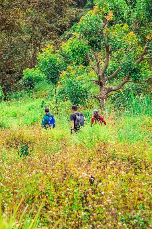 Turismo regenerativo coloca a natureza no centro desta atividade