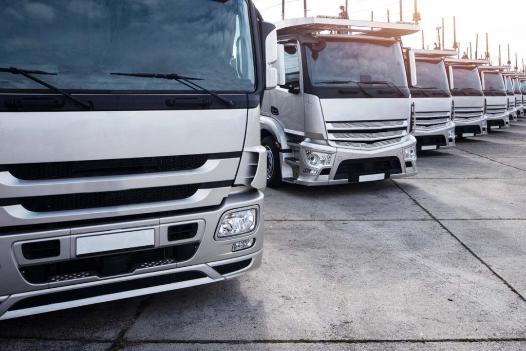 Mulheres assumem liderança em empresas de transporte de cargas e logística