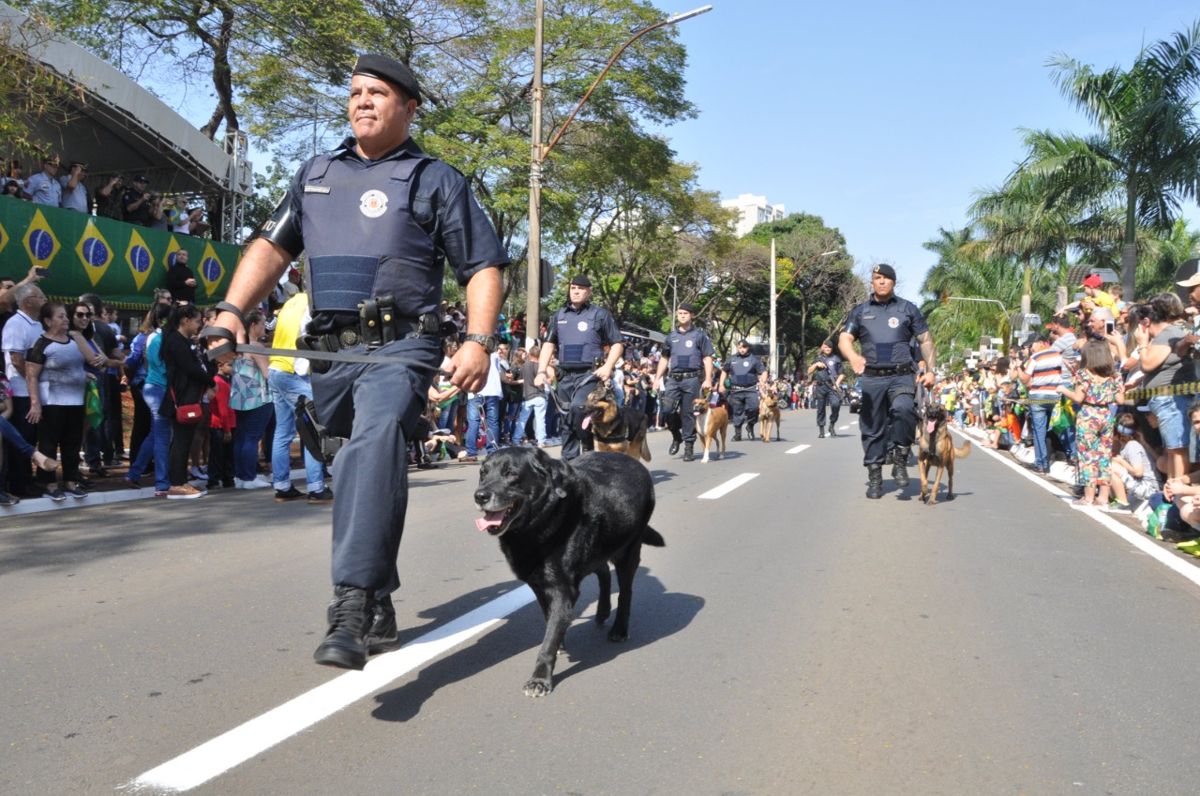 Desfile de 7 de setembro tem 29 grupos inscritos