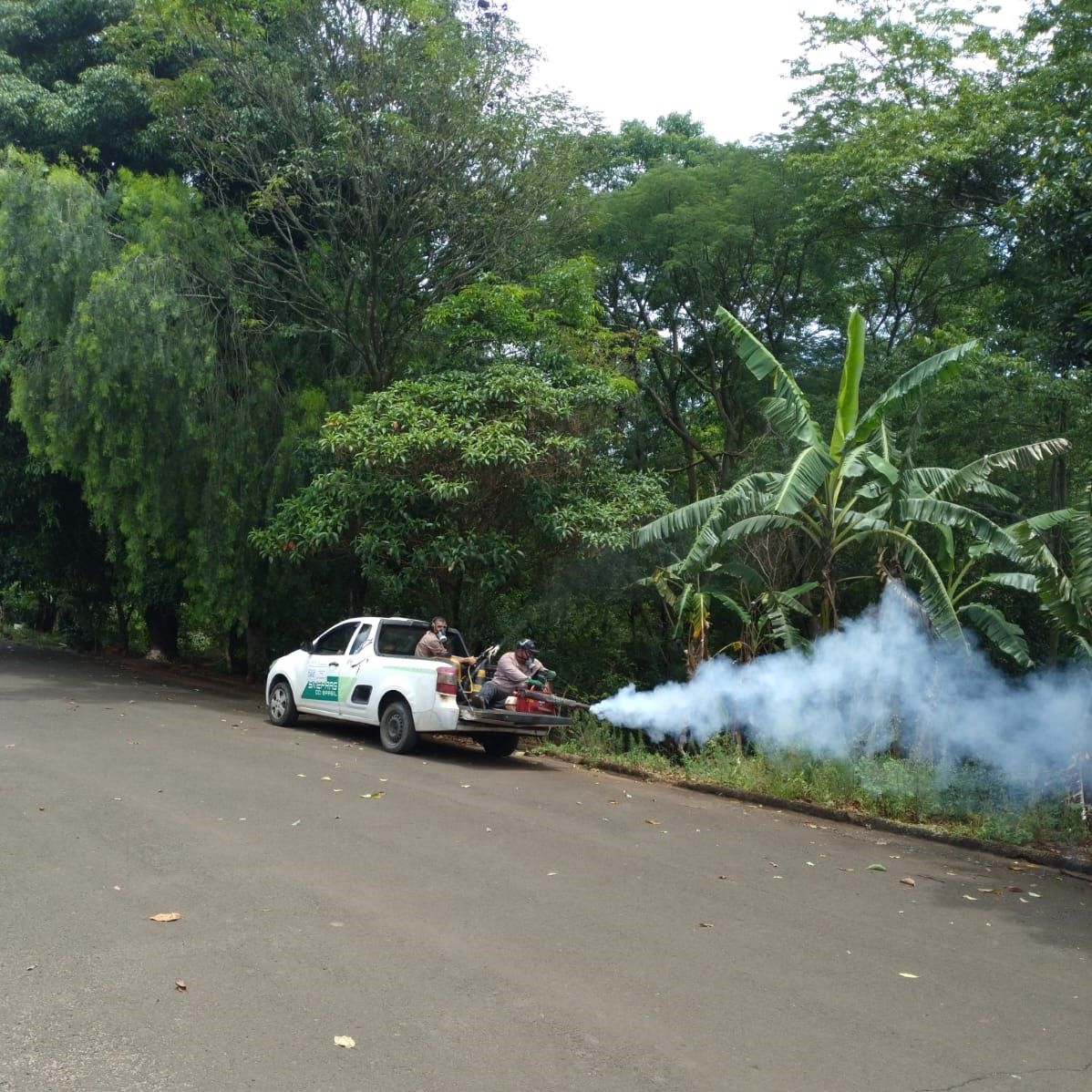 Americana faz nebulização para combater pernilongos