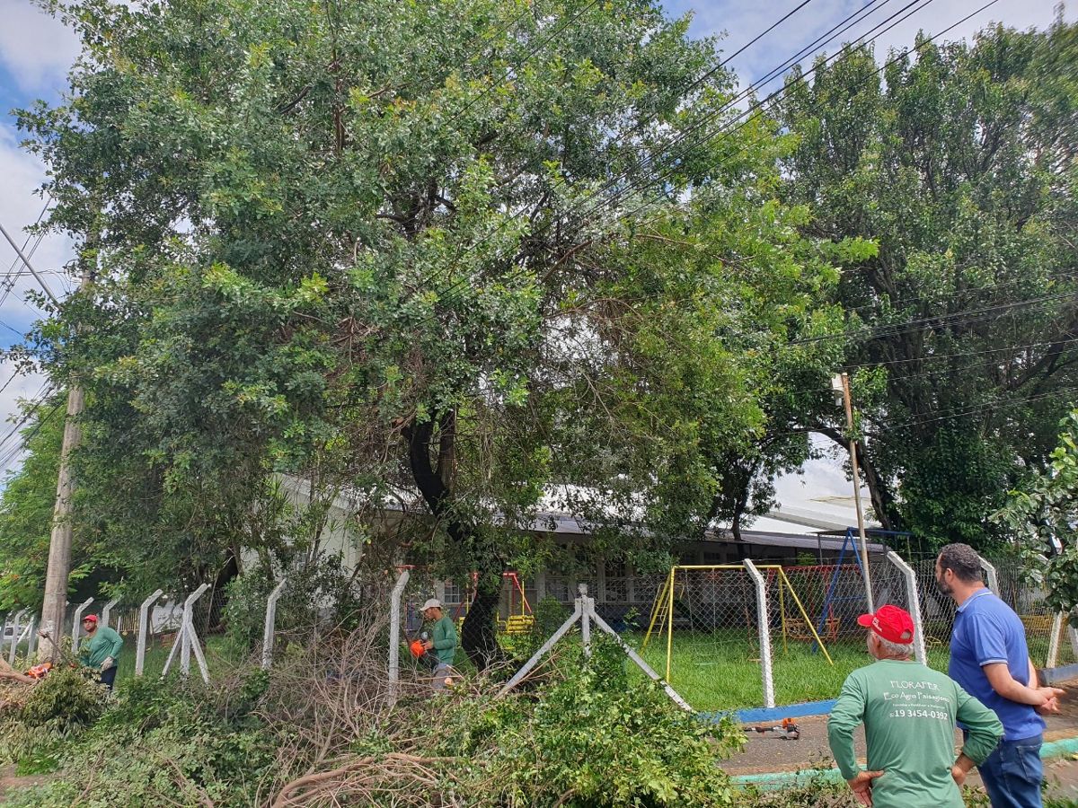Serviços de poda e manutenção de jardins chegam a Casa da Criança Araúna