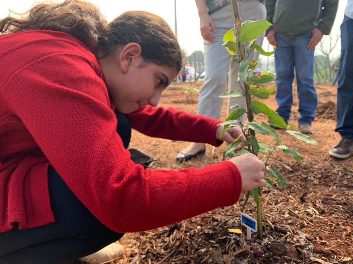 Plantio de 150 mudas de árvores marca a criação do Bosque Inclusivo