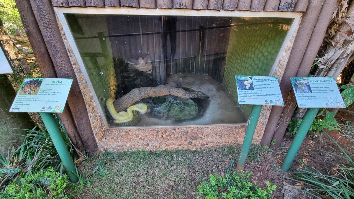 Animais do Zoo Americana recebem cuidados especiais no inverno