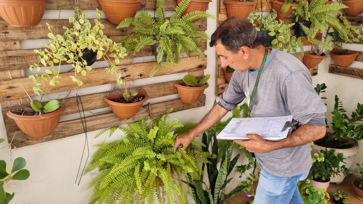 Americana participa do “Dia D” de mobilização contra a dengue neste sábado