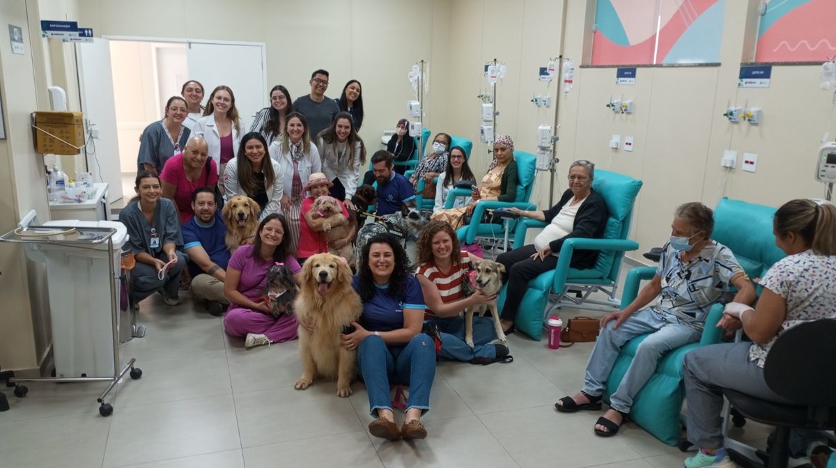 Cães-terapeutas visitam pacientes da Unacon
