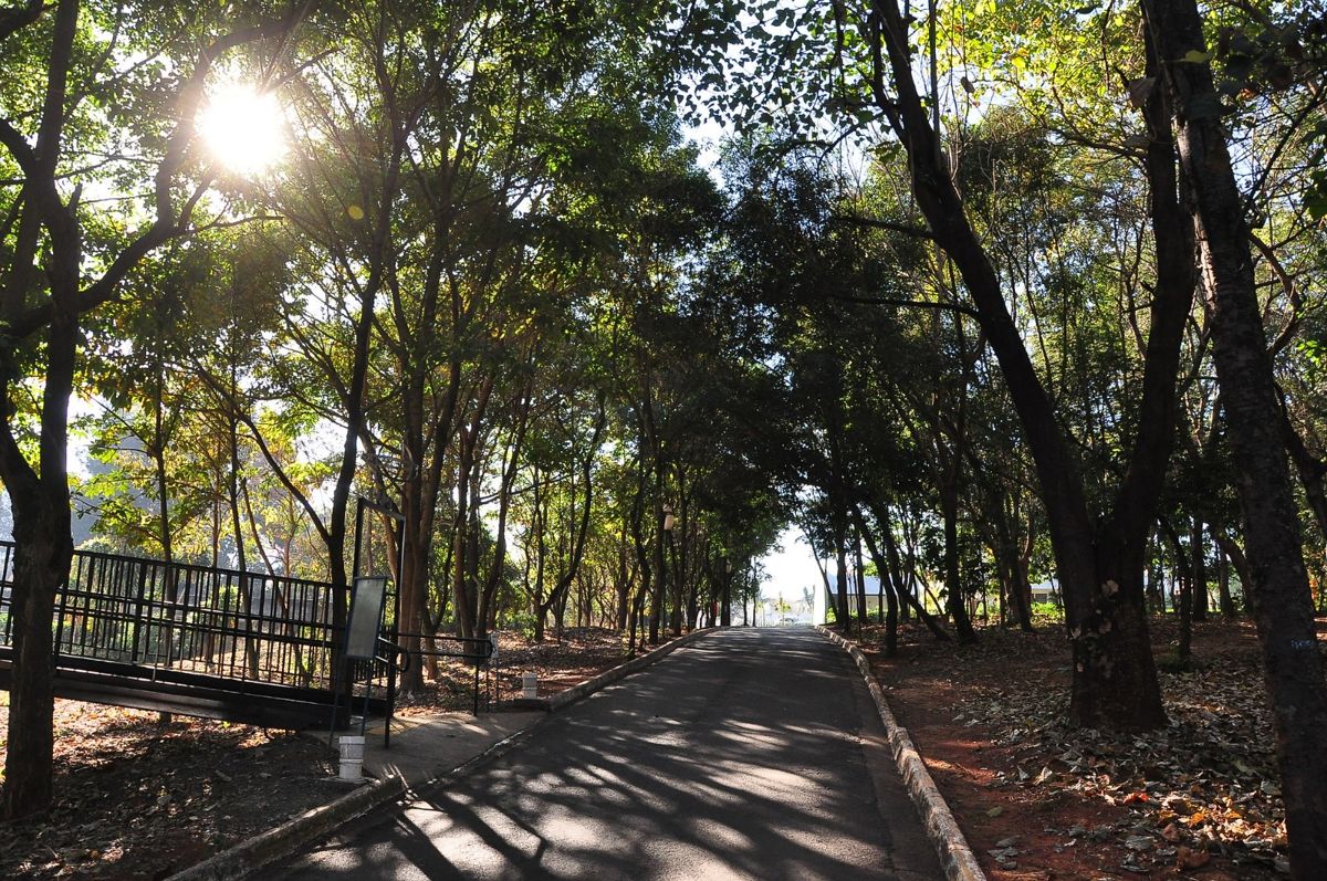 Jardim Botânico terá programação especial de aniversário neste sábado
