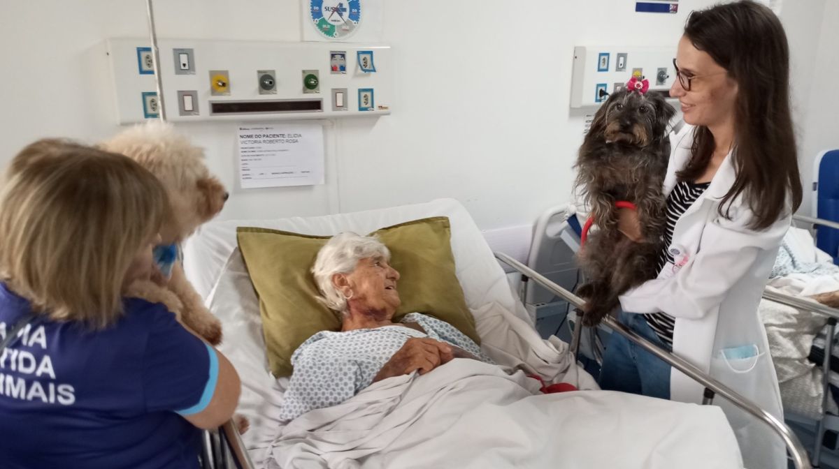 Hospital Municipal recebe visita de cães-terapeutas do projeto Patas Solidárias