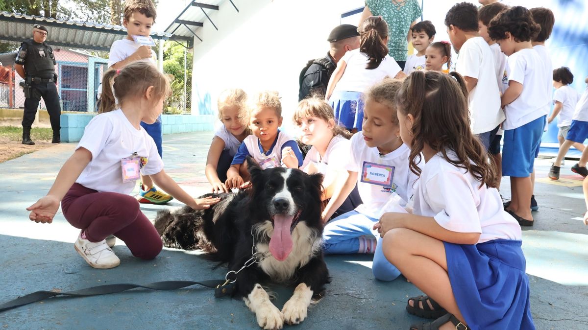 GAMA leva cães da Romu Canil para apresentações em escolas de Americana