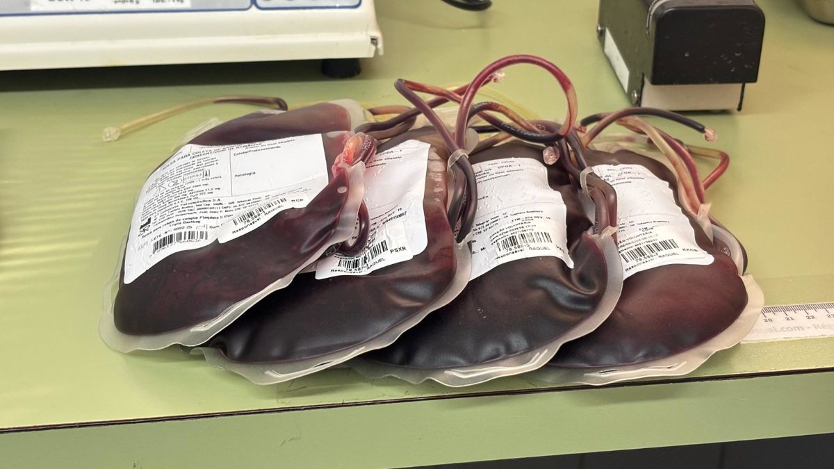 Banco de Sangue do Hospital Municipal precisa com urgência de doações do tipo O