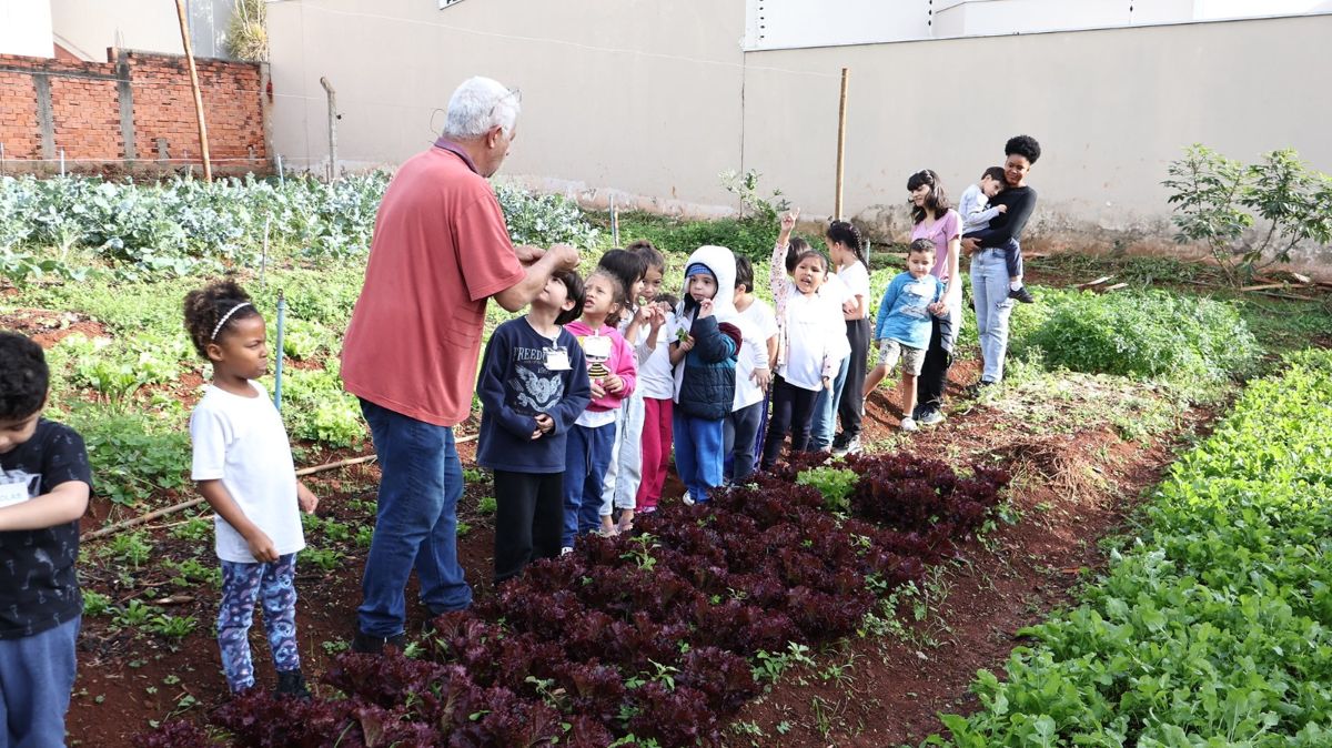 Americana comemora Dia do Meio Ambiente com ações de educação ambiental e agricultura urbana