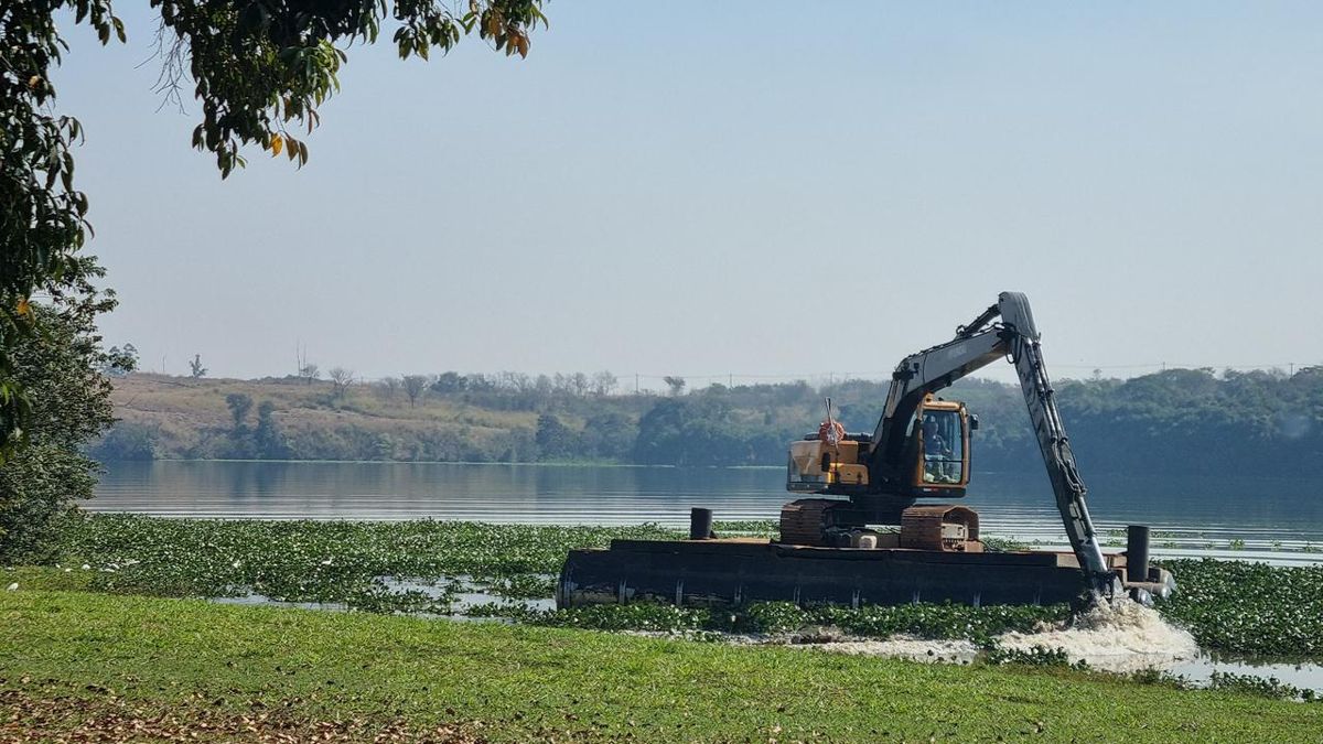 Remoção de plantas aquáticas reduz 97% da área com macrófitas na Represa do Salto Grande