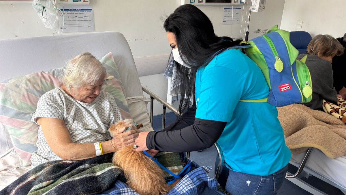 Cães terapeutas levam alegria e acolhimento a pacientes do HM de Americana