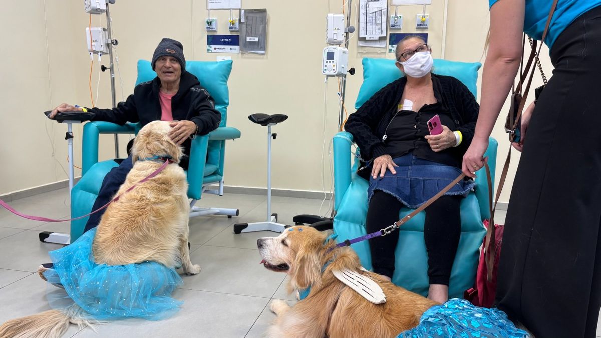 Terapia com cães e música trazem conforto a pacientes oncológicos da Unacon