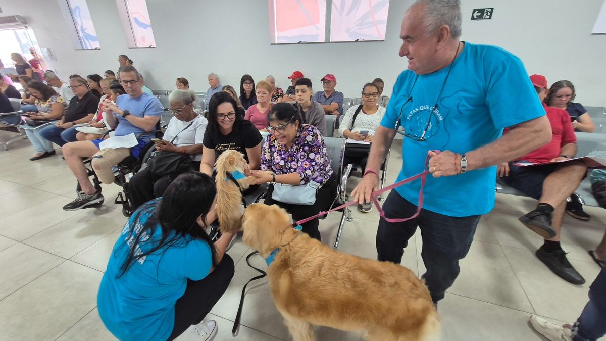Cães terapeutas espalham afeto e promovem bem-estar no Núcleo de Especialidades de Americana