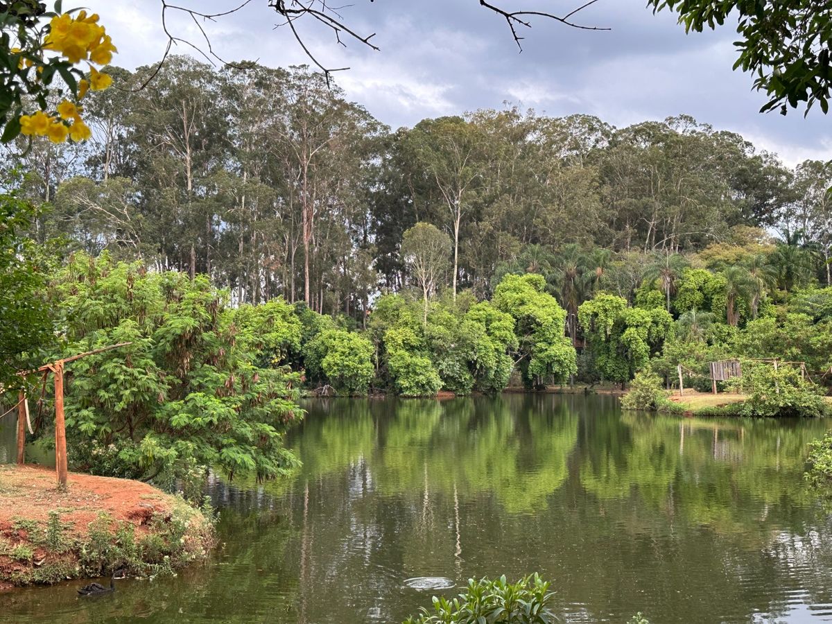 Parque Ecológico tem entrada gratuita para moradores de Americana no final de semana