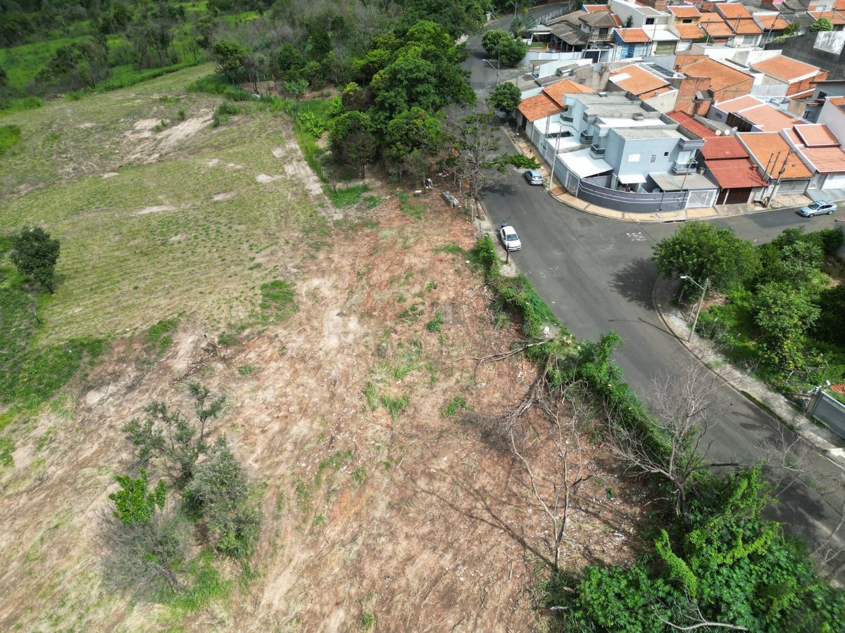 Prefeitura prepara área para reflorestamento de 9,6 hectares na região do Córrego Bertini