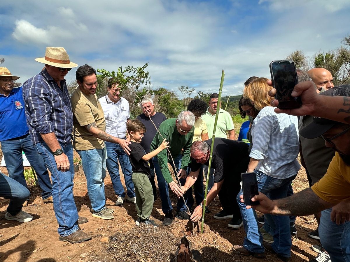 Prefeito Chico dá início ao projeto Refloresta Americana na região do Córrego Bertini