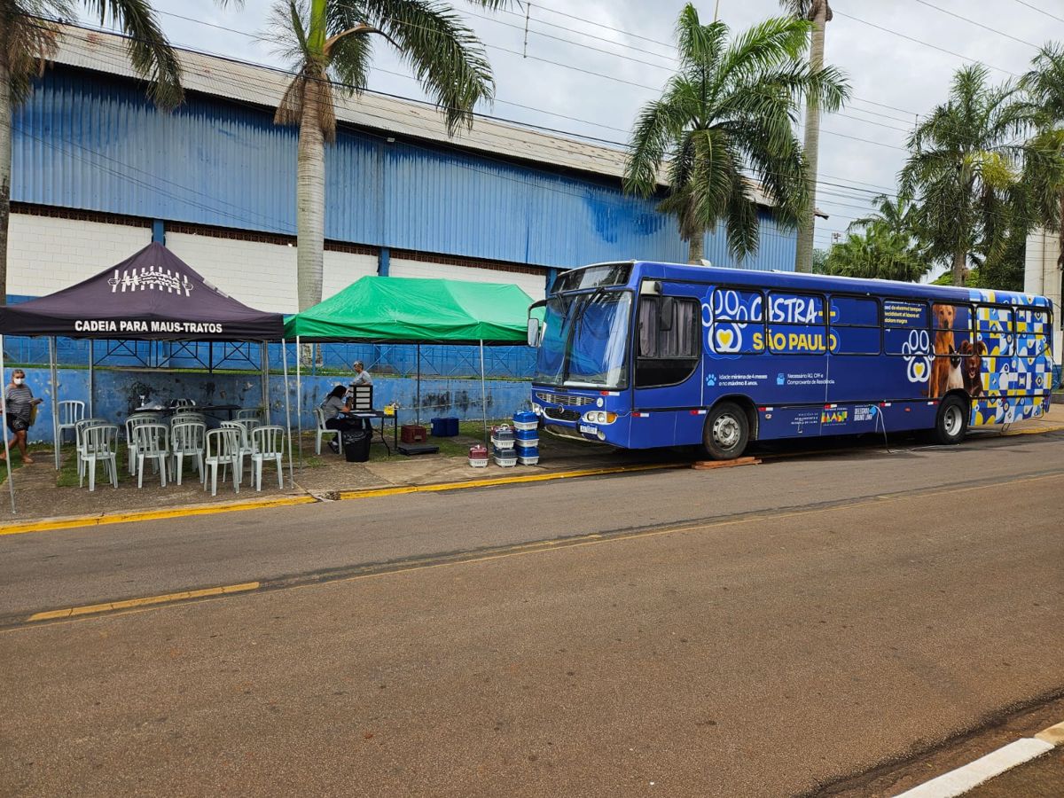 Mutirão vai oferecer castrações gratuitas neste domingo em Americana