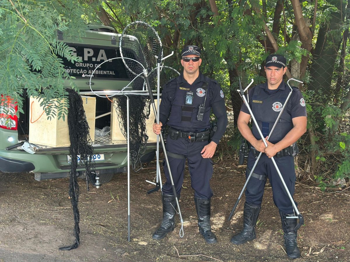 Gama reforça canal de denúncias de maus-tratos a animais em Americana