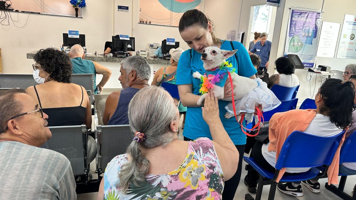 Cães terapeutas levam alegria e acolhimento aos pacientes do HM e da Unacon no Carnaval