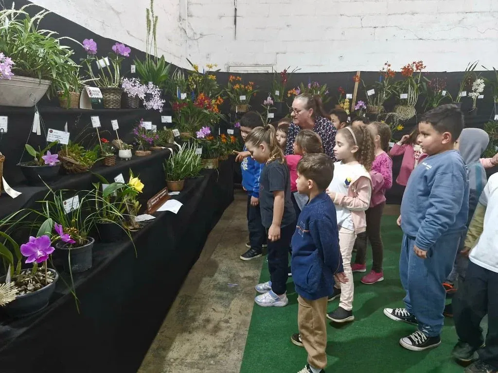 Realizado pelo Círculo Americanense de Orquidófilos, evento tem apoio da Prefeitura de Americana
