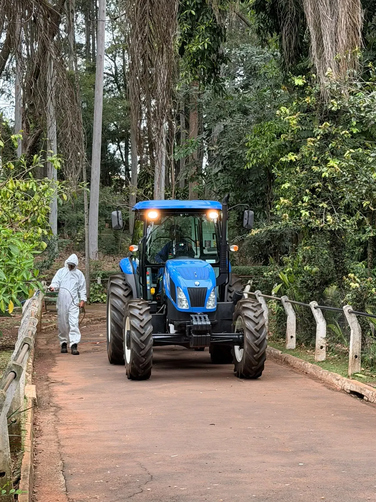 Nesta terça-feira (8), a Secretaria de Meio Ambiente aplicou o agente biológico no Parque Ecológico Municipal
