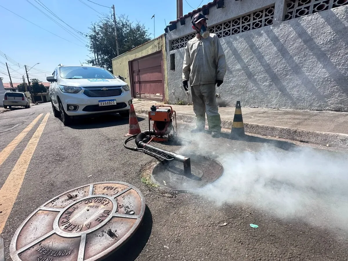 A ação tem como objetivo combater pragas urbanas, como baratas e roedores