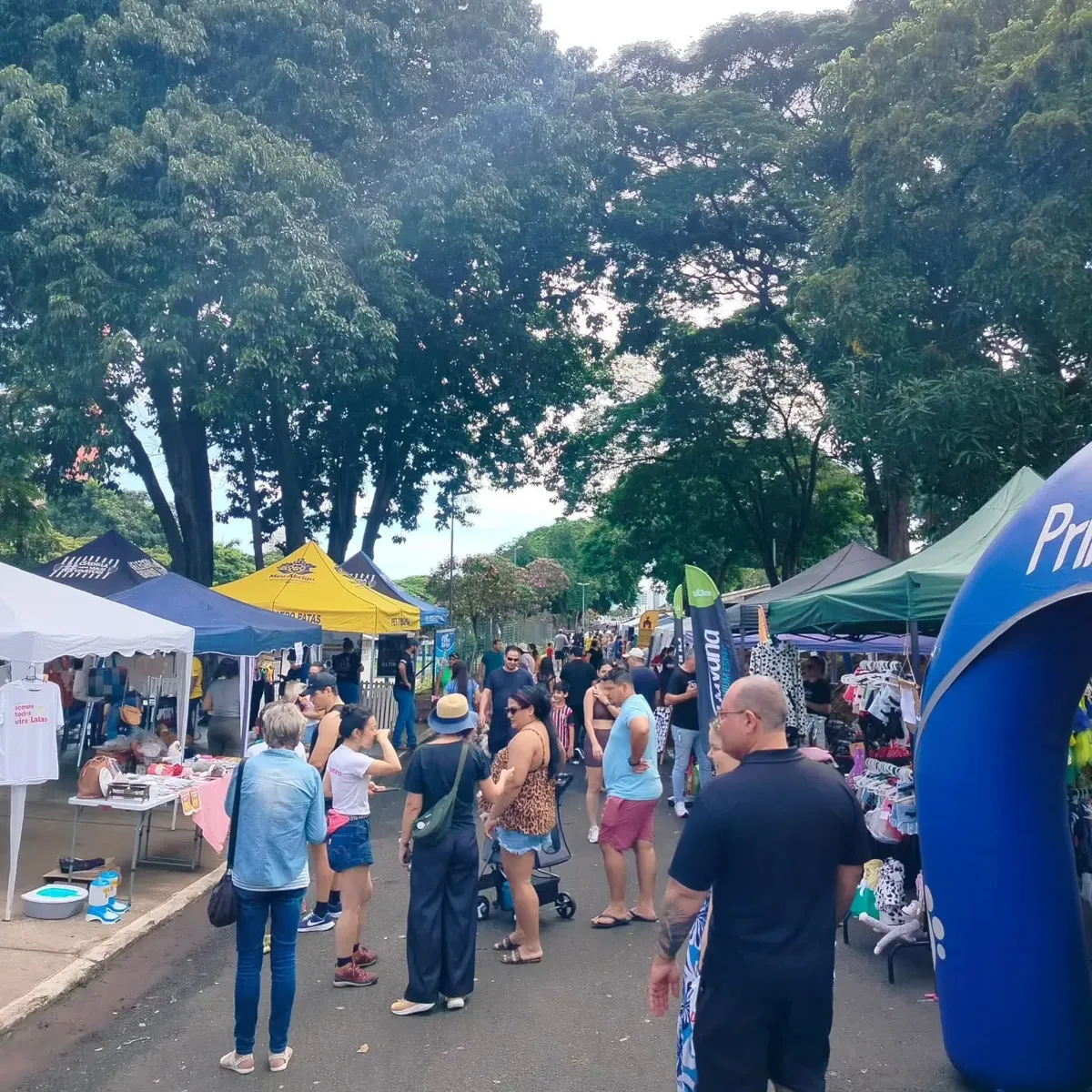 O evento ocorre das 9h às 14h e tem o apoio da Prefeitura de Americana
